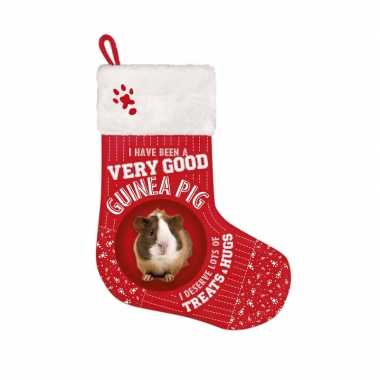 Dieren kerstsokken rood voor cavia 37 x 30 cm